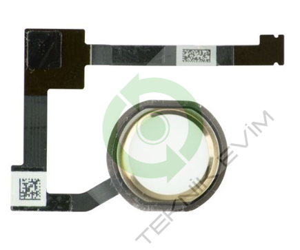 Apple İpad Air 2 A1566 Home Buton Beyaz